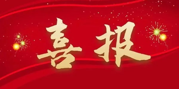 喜报|学校在云南省2024年“中华魂”主题教育读书活动中喜获佳绩